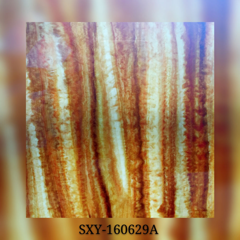 SXY160629A