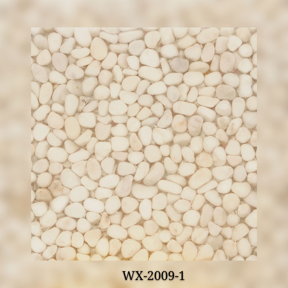 WX-2009-1