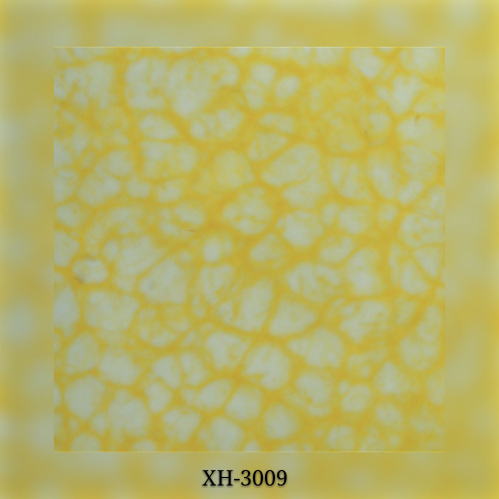 XH-3009