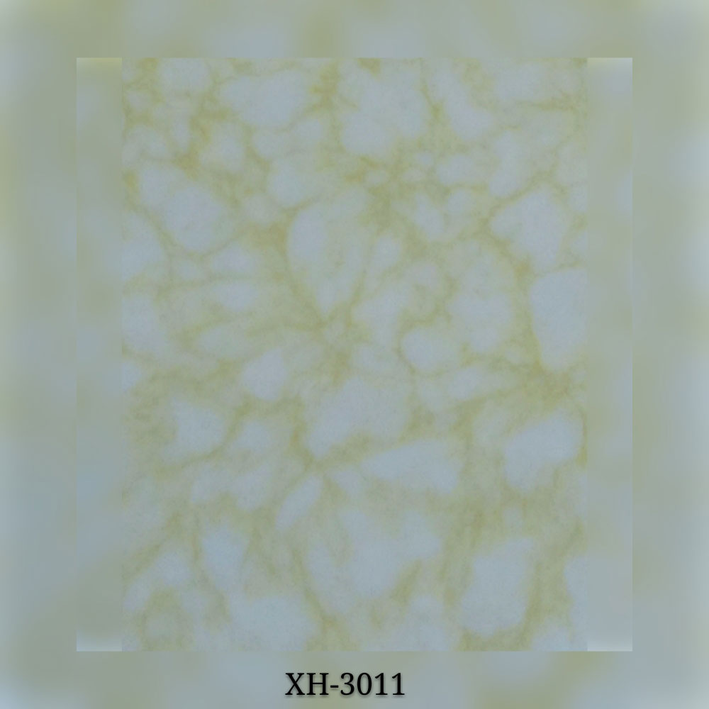 XH-3011